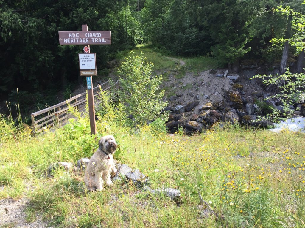 Chester posing nicely at the trailhead